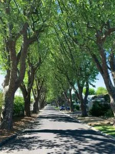 The Finsbury - Glen Dirk The Finsbury - Glen Dirk