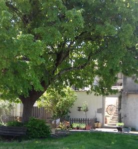 Maisons de vacances Le Patio Aux Hirondelles : photos des chambres