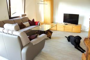 Wolfs Ferienhaus - Natürlich Eifel