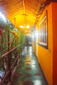 El Patio de Don Moncho