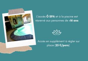 Hotels Hotel et Spa Le Lion d'Or : Duplex Simple et double