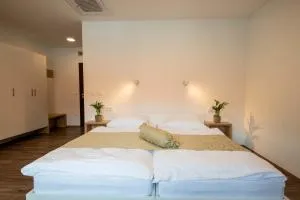Guesthouse Stari Mayr - 克拉尼