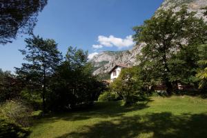 B&B Passaggi