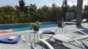 Xenos Villa 1 With Private Swimming Pool, Near The Sea Kos Greece