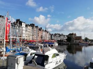 Appartements Le MAELY, studio au calme, centre de Honfleur (linge fourni) : photos des chambres