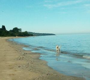 Appartements Le MAELY, studio au calme, centre de Honfleur (linge fourni) : photos des chambres