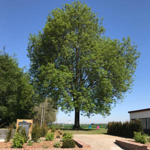 Maisons de vacances Gites du Frene : photos des chambres