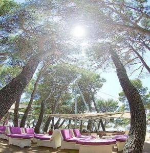 Sobe Centar Baška Voda