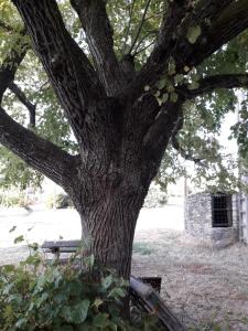 Maisons de vacances Le Patio Aux Hirondelles : photos des chambres