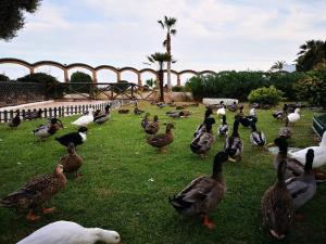 En Marina DOr primera linea real