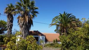 Casa la Caña, Puntagorda - La Palma