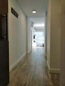 star apartment olivos