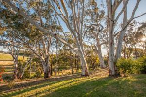 Discovery Parks - Hahndorf