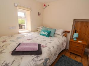 Holiday Home room in Cozy Cwtch Cottage