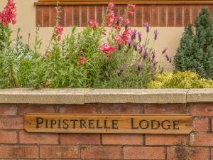Pipistrelle Lodge