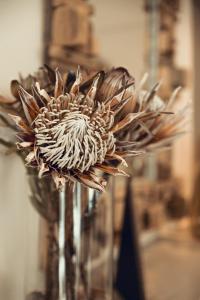 Antrim Villa by Totalstay