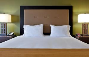 Holiday Inn Express Hotel Twin Falls by IHG