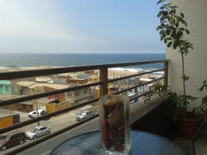 Departamentos Parque Costanera