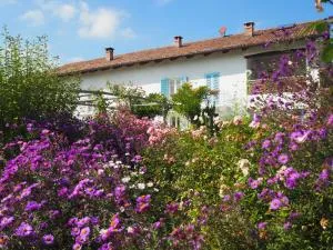 Casa del Roseto - Masio