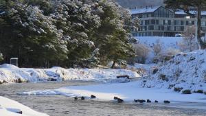 Departamento Terrazas Del Beagle