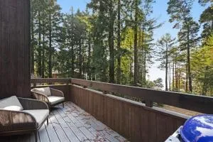 Tree House - Stewarts Point