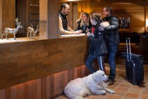 Hotels Hotel Au Chamois d'Or by Les Etincelles : photos des chambres