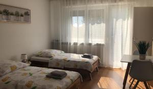 Studios near Basel Airport photo 24