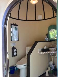 Garden Shed R