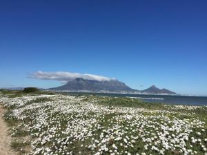 Atlantic Blue Villa at Pilots