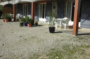 Lavandes et Roses en Quercy photo 6