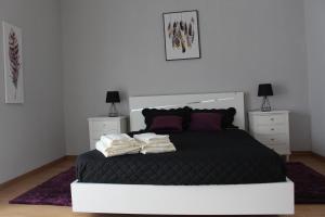 Viriato Central House