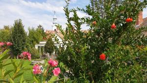 Mi a Kő vendégház