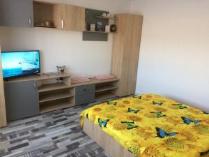 apartament parc cetate