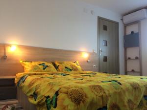 apartament parc cetate