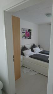 One-Bedroom Apartment room in Apartment City