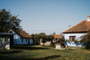 La Mama Anica - Bradu