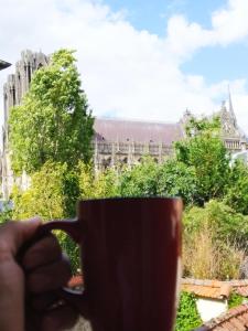 Appartements Le Fuseau de Reims : photos des chambres