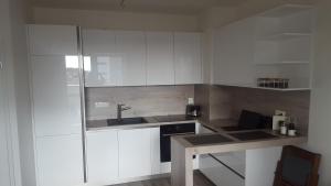 Apartaments Apartm&aacute; &Scaron;lapanice Brno Čehija