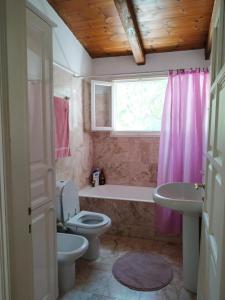 Liknon Apartment Parnassos Greece