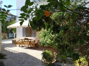 Liknon Apartment Parnassos Greece