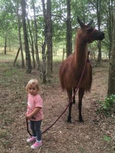 Sejours a la ferme Loire Valley Llama Farm Stay : photos des chambres