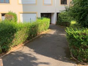 Appartements grand appartement a louer vue sur seine : photos des chambres
