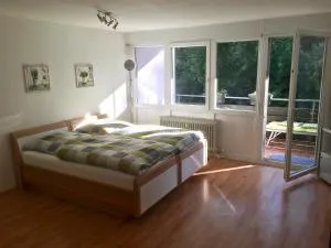 Ferienwohnung Asal - Langensteinbach
