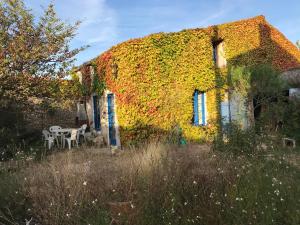 Maisons de vacances un gite authentique a la mer : photos des chambres