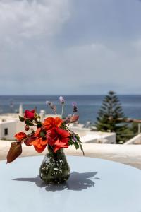 Stratos Apartments & Studios Paros Greece