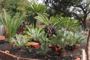 Oryx B&B Reserved Guests Only