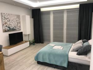 DbD Apartament Gray Turkus Studio