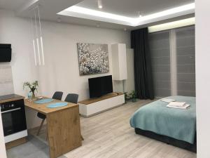 DbD Apartament Gray Turkus Studio