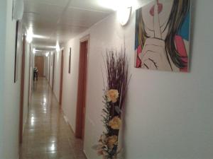 Hostal Arneva Orihuela