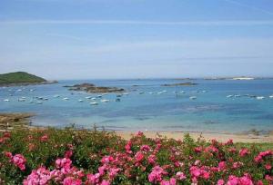 TY SAM - 2 Appartements dont 1 Grande Terrasse vue mer proche plages et commerces : photos des chambres